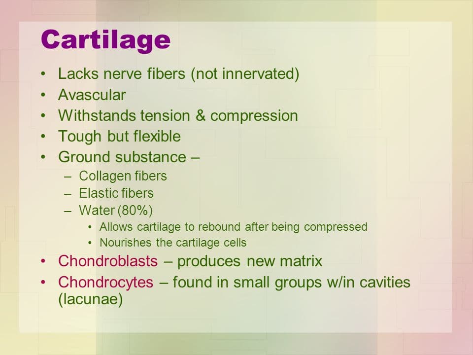 Cartilage is avascular and aneural.