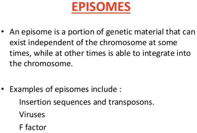 Episomes are plasmids that integrate into the genome.