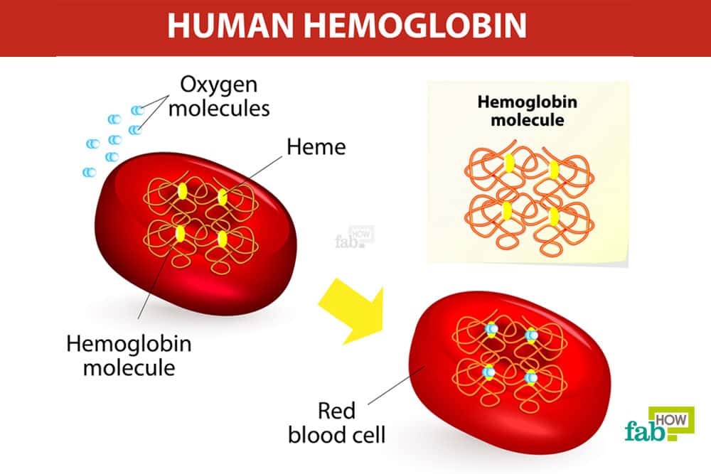 Hemoglobin is found inside RBCs and it carries oxygen .