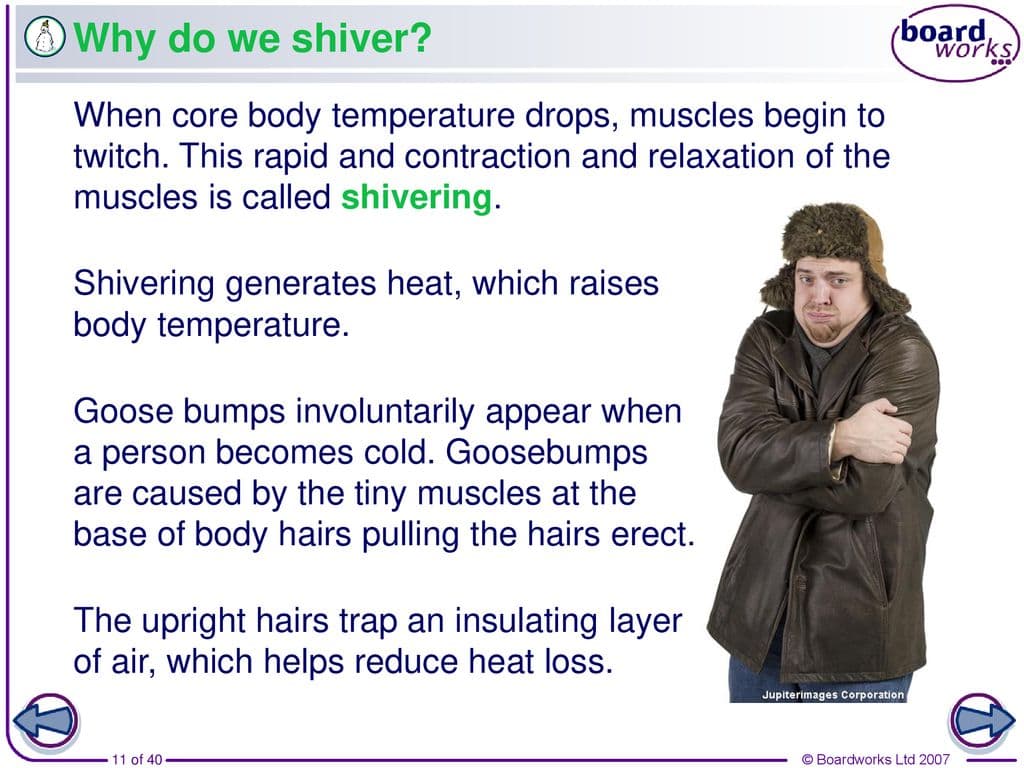 Shivering is when your skeletal muscles shake in small movements. This creates warmth by expending energy.
