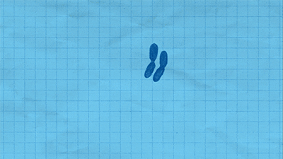 giphy: Binary fission is a simple form of asexual reproduction seen in prokaryotes.