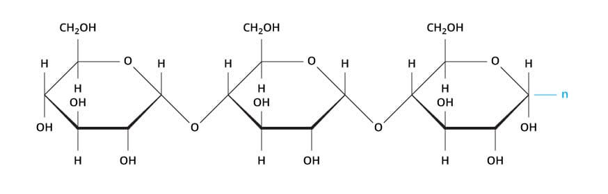 The structure of carbohydrates also makes it possible for them to join together through a dehydration reaction, forming…