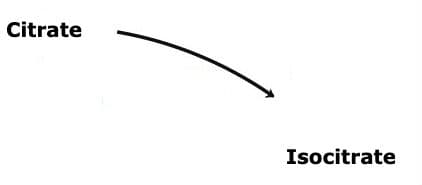 Acpnitase: The above reaction is from the citric acid cycle. Name the enzyme that catalyzes this reaction is ____.