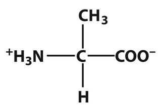 Alanine: This amino acid is ____.