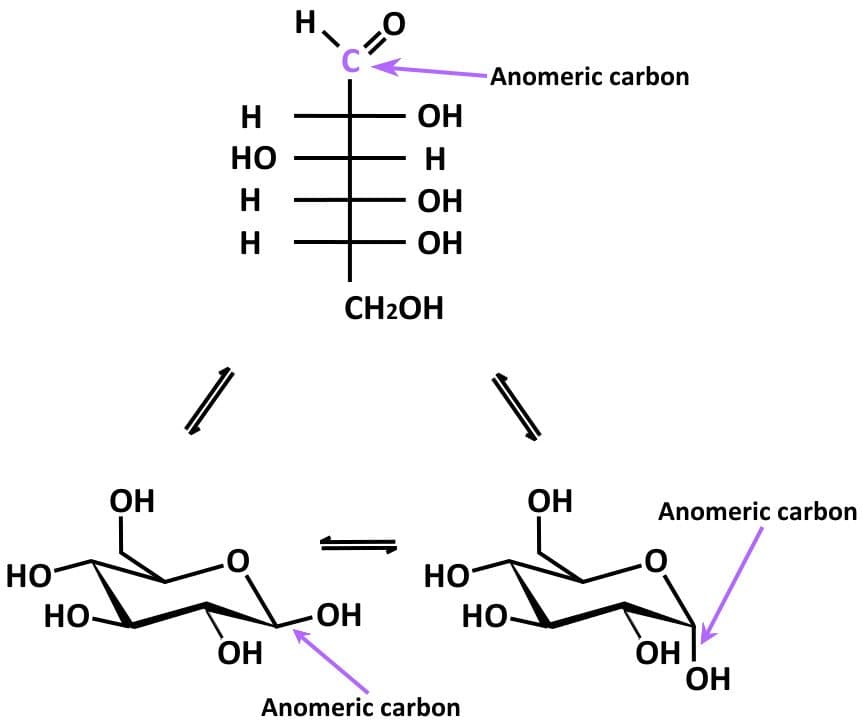 Anomers are a subtype of epimers that differ at the anomeric carbon .