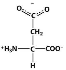 (see image) This amino acid is Aspartate, ASP, D: Polar Negatively-Charged Aliphatic, Acidic.