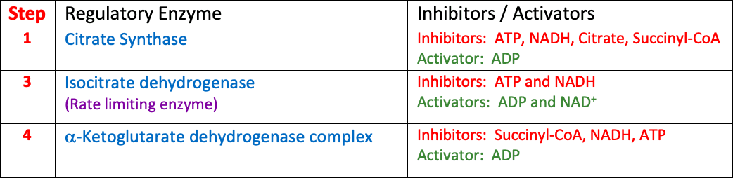 Citric Acid Cycle Regulatory Enzymes: Isocitrate dehydrogenase , the rate limiting enzyme of the citric acid cycle is activated by ADP or NAD + .