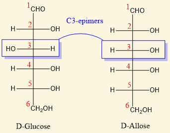 Epimers are a subtype of diastereomers that differ at exactly one chiral carbon .