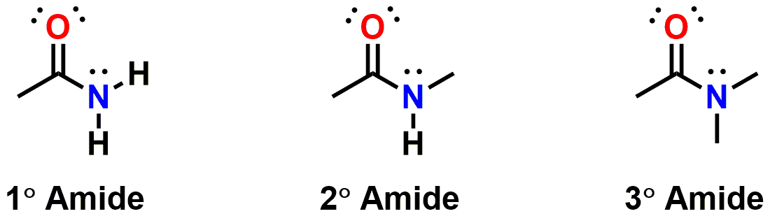 Figure 4: An amide is an amine connected to a carbonyl carbon.
