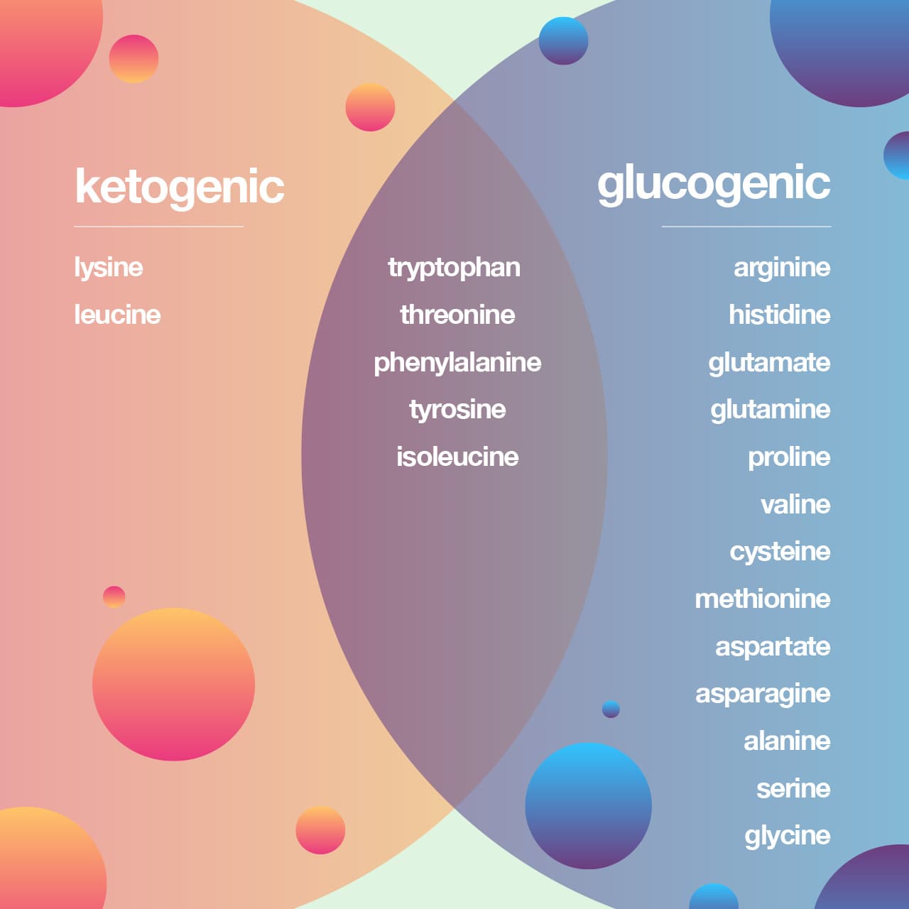 Glucogenic vs Ketogenic: Glucogenic amino acids are amino acids that can be converted into glucose through gluconeogenesis.