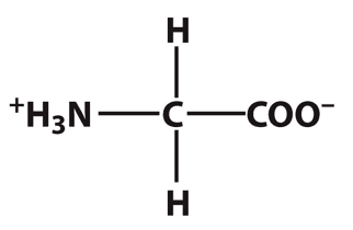 Glycine: This amino acid is ____.