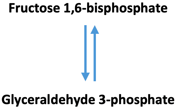 Glycolysis Aldolase: The above reaction is from glycolysis. The enzyme that catalyzes this reaction is ____.