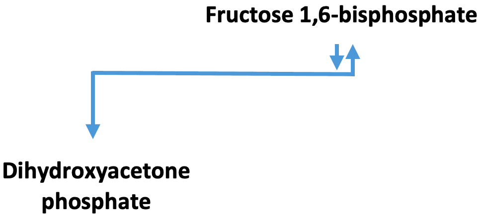 Glycolysis Aldolase: The above reaction is from glycolysis. The enzyme that catalyzes this reaction is ____.