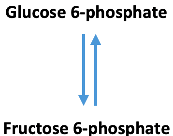 Glycolysis Phosphoglucose Isomerase: The above reaction is from glycolysis. The enzyme that catalyzes this reaction is ____.