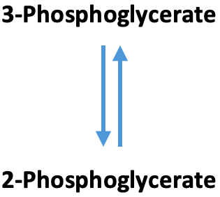 Glycolysis Phosphoglycerate Mutase: The above reaction is from glycolysis. The enzyme that catalyzes this reaction is ____.