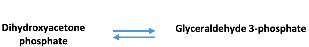 Glycolysis Triose Phosphate Isomerase: The above reaction is from glycolysis. The enzyme that catalyzes this reaction is ____.