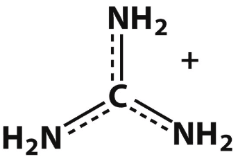 Guanidinium: This is the g____roup.