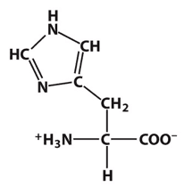 (see image) This amino acid is Histidine, His, H: Polar Positively-Charged Aliphatic, Basic.
