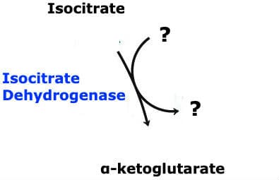Isocitrate Dehydrogenase Reactants: The above reaction is from the citric acid cycle. This reaction requires ____.
