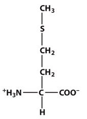 Methionine: This amino acid is ____.