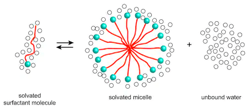 A/an micelle can dissolve a lipid-soluble molecule in its fatty acid core