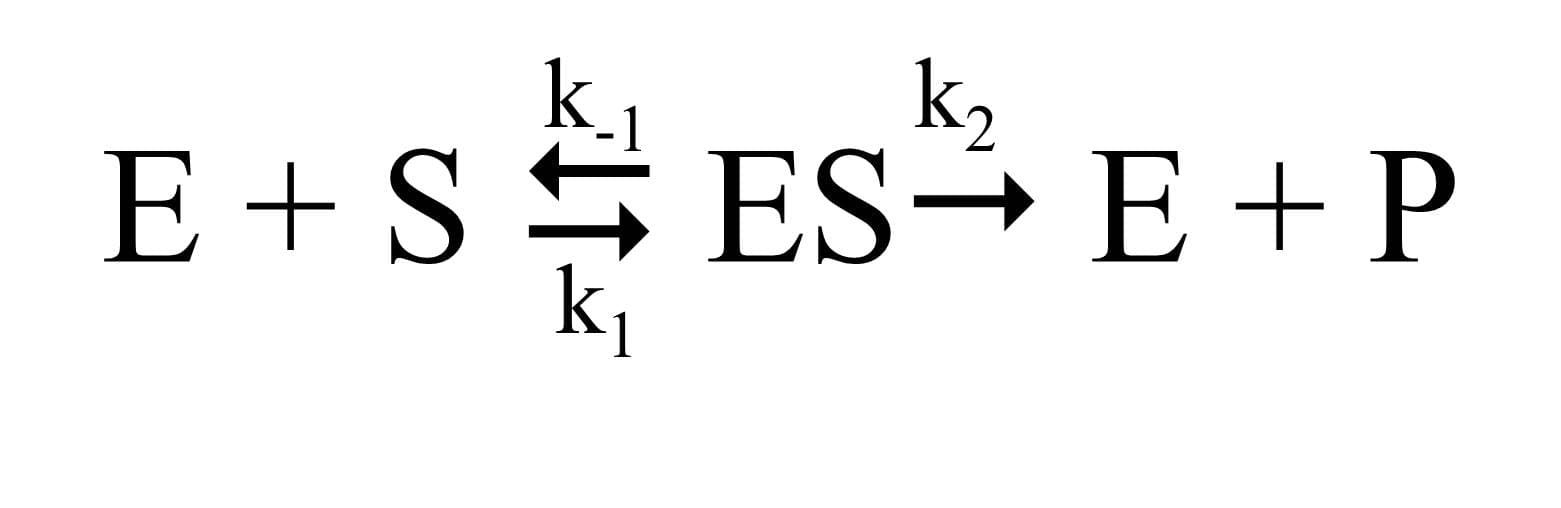 Michaelis Menten Reaction Scheme: The Michaelis-Menten reaction scheme is: (see image)