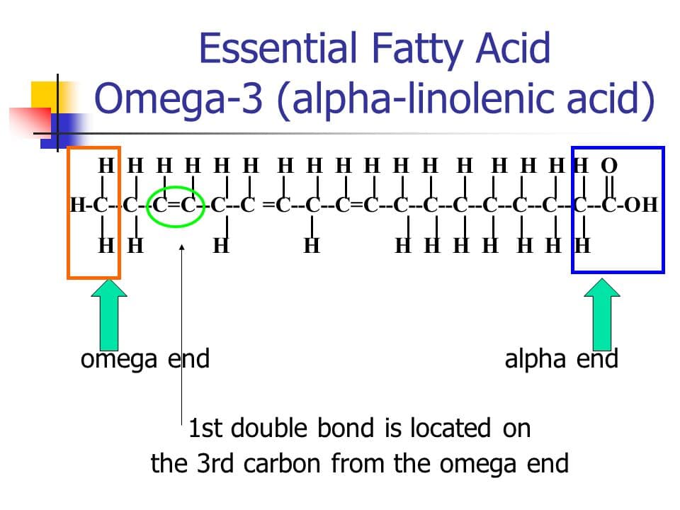 Omega End of Fatty Acid: Omega fatty acids are classified according to the location of the first double bond from the omega end.