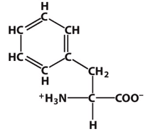 Phenyalanine: This amino acid is ____.