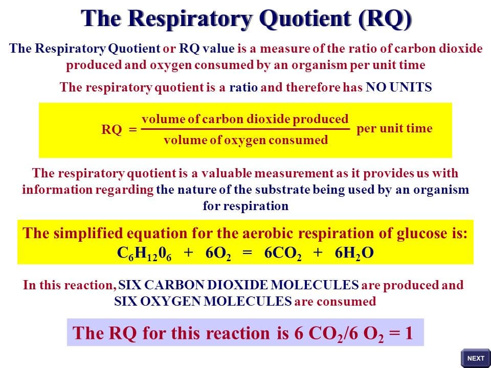 The respiratory quotient is the ratio of the volume of carbon dioxide produced to that of oxygen consumed .