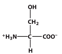 (see image) This amino acid is Serine, SER, S: Polar Uncharged Aliphatic.