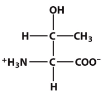 (see image) This amino acid is Threonine, THR, T: Polar Uncharged Aliphatic.