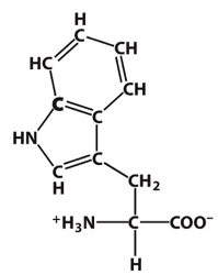 Tryptophan: This amino acid is ____.
