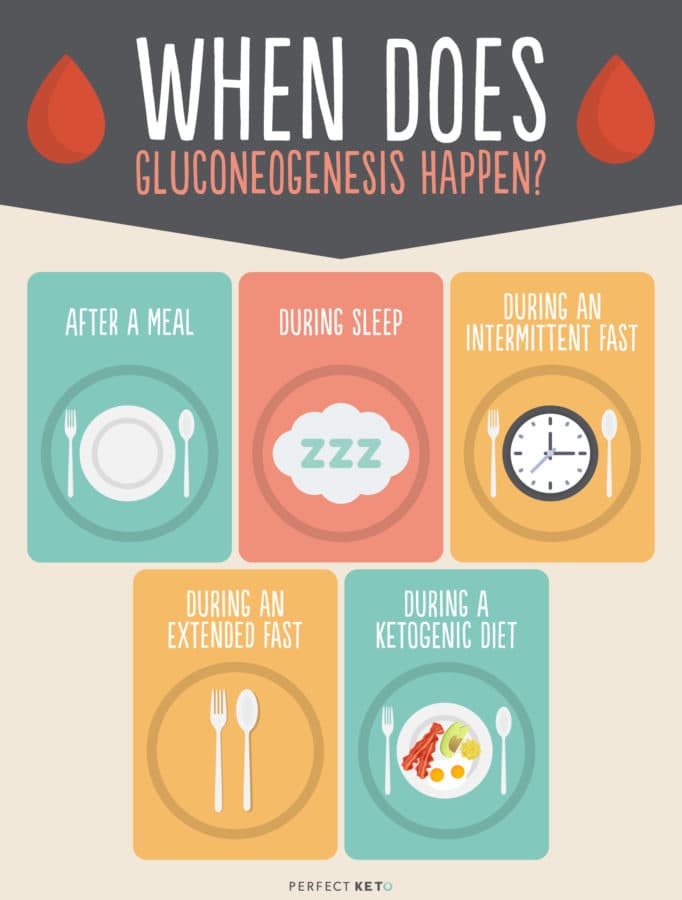 When Does Gluconeogensis Occur: Gluconeogenesis occurs during periods of fasting , starvation , low-carbohydrate diets , or intense exercise.