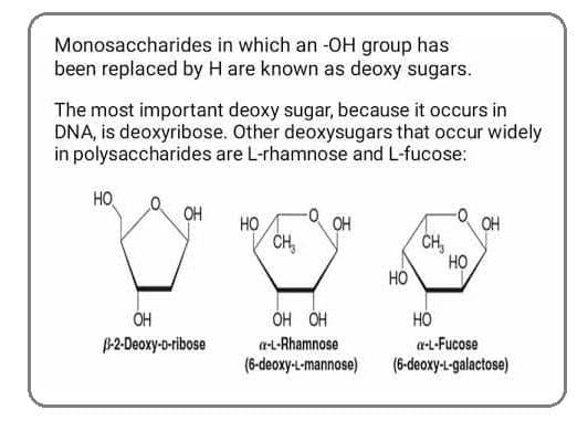 Sugars with a –H replacing an –OH group are termed deoxy sugars.