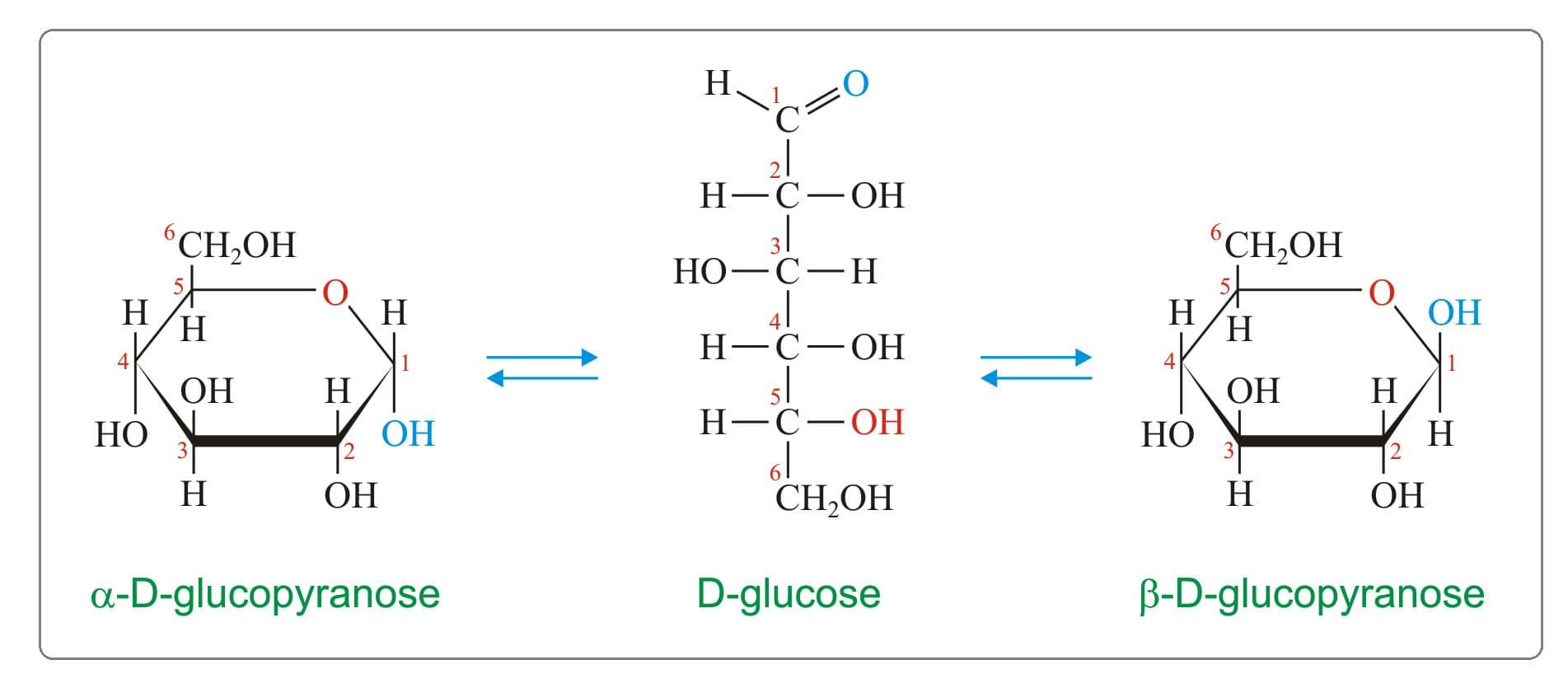 Anomers are a subtype of epimers that differ at the anomeric carbon.