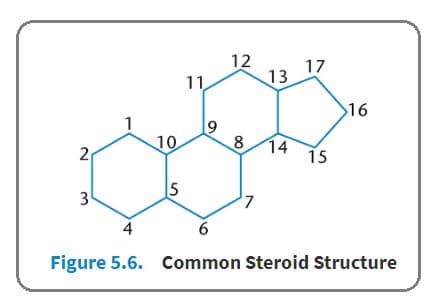 Steroids contain three cyclohexane rings and one cyclopentane ring.