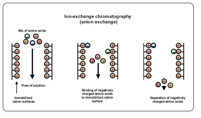 Ion-exchange chromatography uses a charged column and a variably saline eluent.