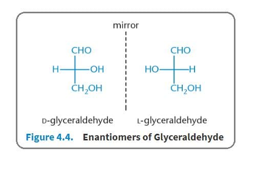 The nomenclature of all sugars is based on the D- and L- forms of glyceraldehyde.