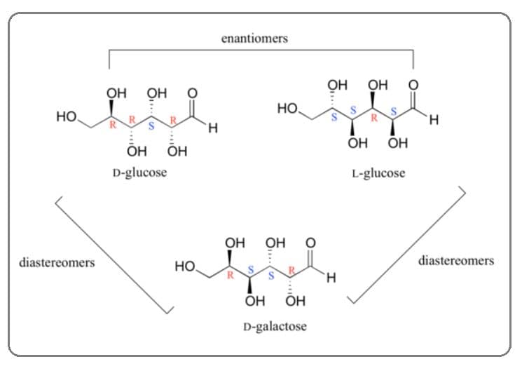 Diastereomers are nonsuperimposable configurations of molecules with similar connectivity.