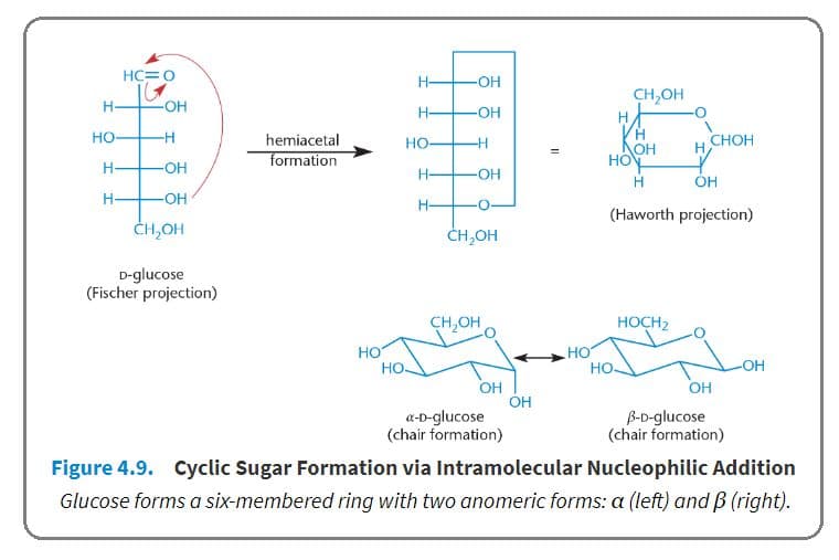 The anomeric carbon was the carbon containing the carbonyl in the straight-chain form.