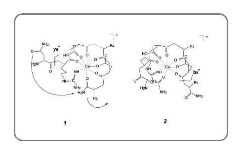 Addition of carboxylic acid groups to peptides, usually to serve as calcium-binding sites.