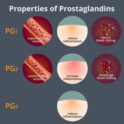 Prostaglandins are lipids that act as hormones.