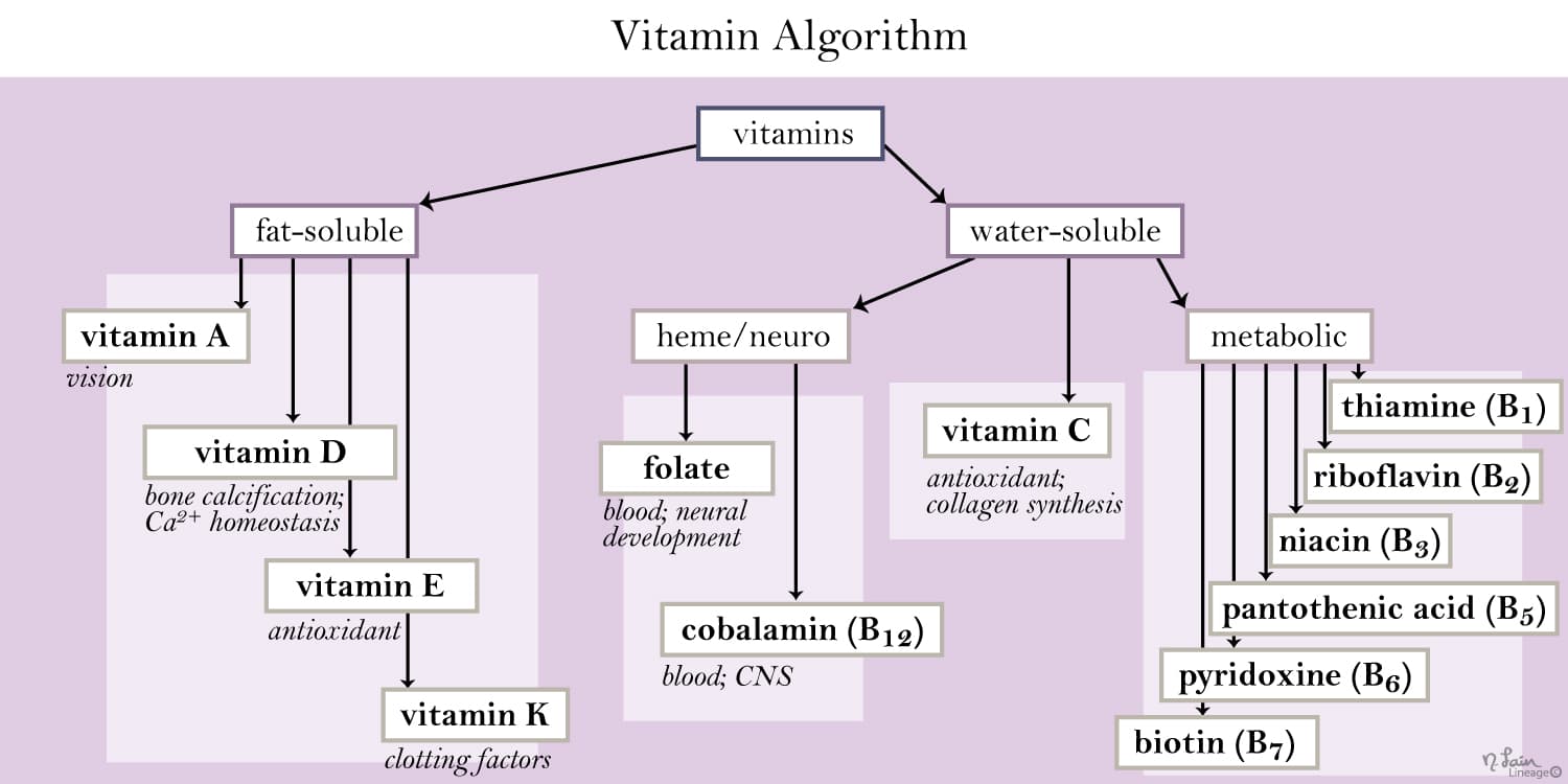 Vitamins are a particular type of organic molecule that are essential, meaning they cannot be produced by the body.