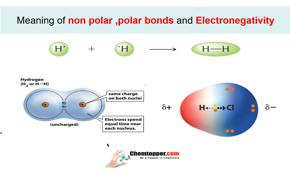Electronegativity provides information about a molecule's charge distribution.