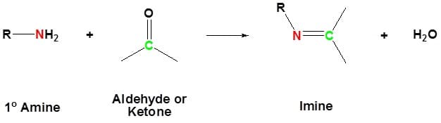 Amines react with carboxylic acids in nucleophilic substitution reactions.