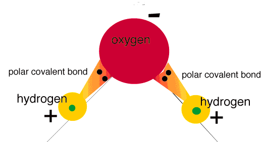 When the electrons are shared not equally because of a difference in electronegativity, it is a polar covalent bond.