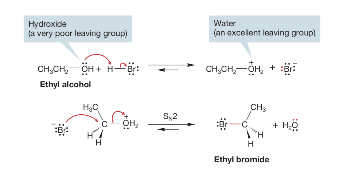 If a portion of the molecule leaves, it is called the leaving group.