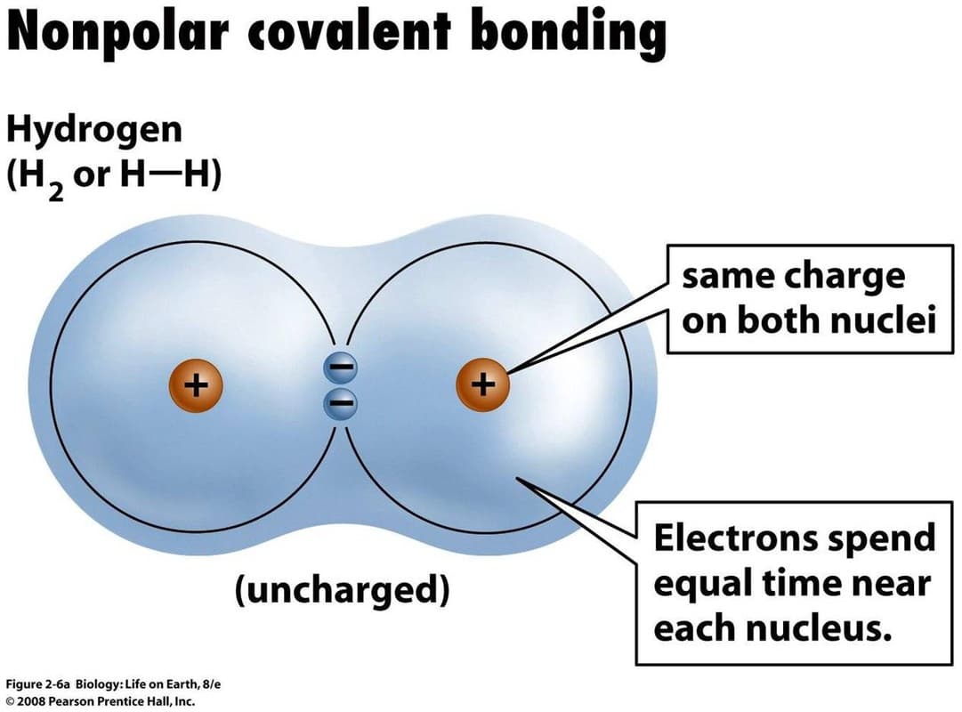 When electrons are shared equally by two atoms with equivalent electronegativities, it is a nonpolar covalent bond.