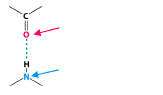 O is the hydrogen bond ____.
