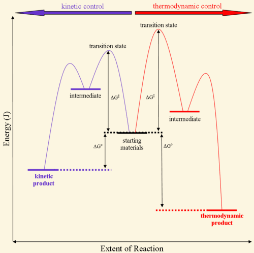 Kinetic vs Thermodynamic: Kinetic products are higher in free energy compared to thermodynamic products and can form at lower temperatures.
